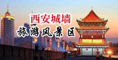 性爱视频直播一区二区中国陕西-西安城墙旅游风景区